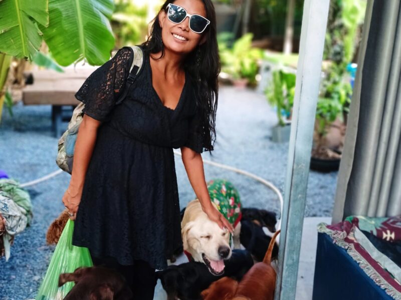 dog boarding , dog walking , dog training, daycare