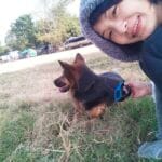 Pet sitter, Dog walker