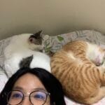 Chăm bé (cute moonpie)